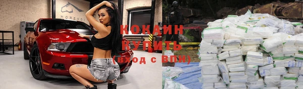 мяу мяу мука Алексеевка