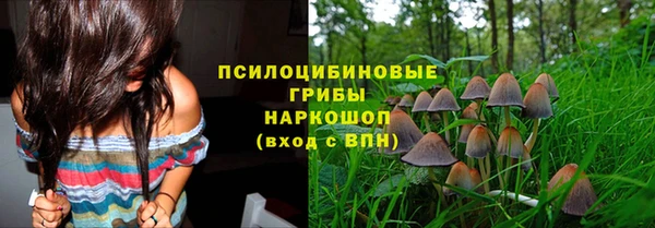 мяу мяу мука Алексеевка